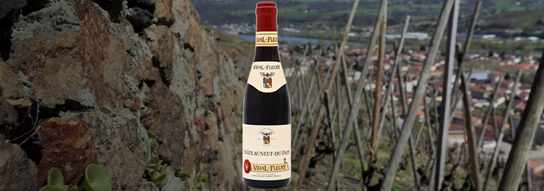 Quel vin rouge pour Noël