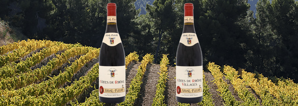 Quelle différence entre côte du Rhône et côte du Rhône Village ?