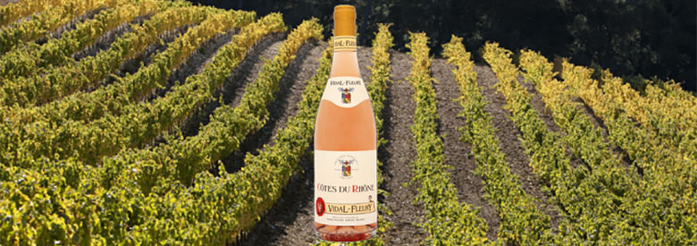 Quels sont les cépages de Côte-du-Rhône ?