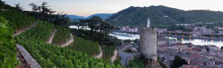 Ou se situe le vignoble du saint-joseph
