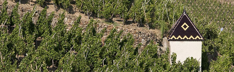 Ou se situe la Cote Rotie ?