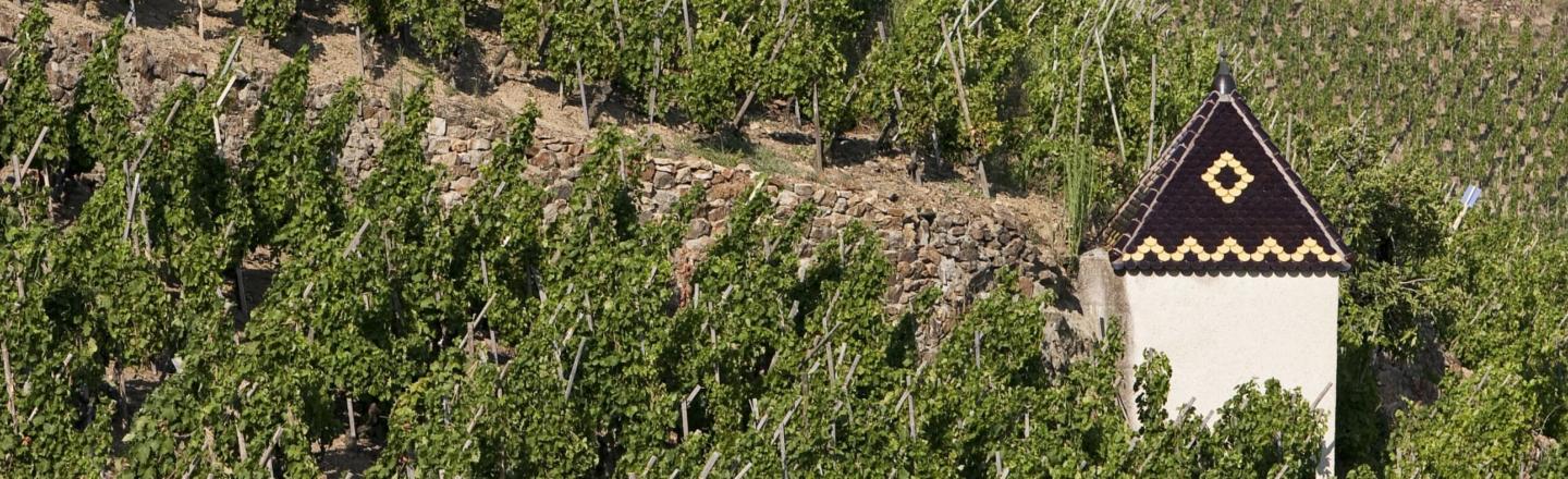 header côte rôtie