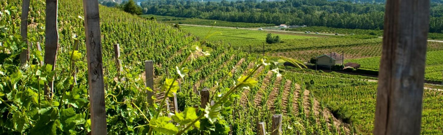header hermitage